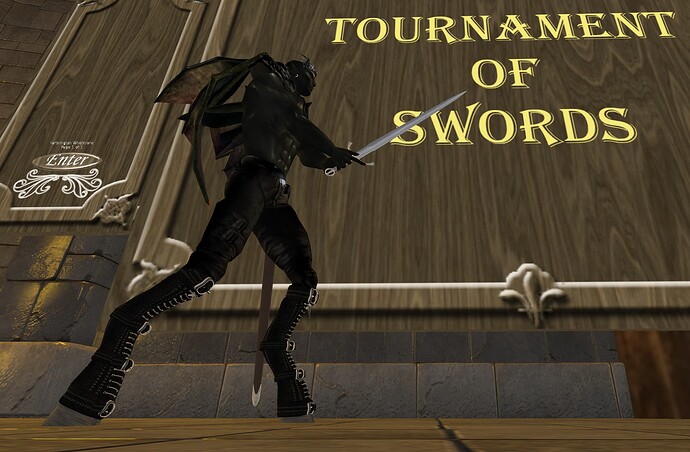 Tournament of Swords Entry Photo